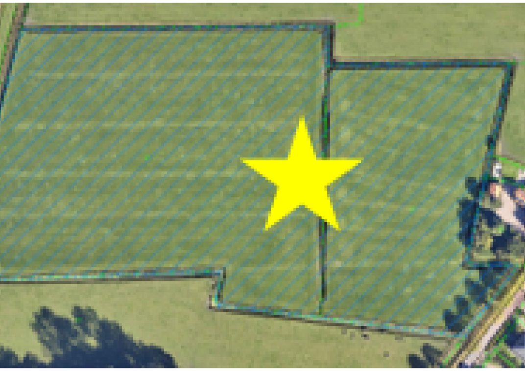 2 Percelen grasland nabij de Voorpolderweg in Dirkshorn