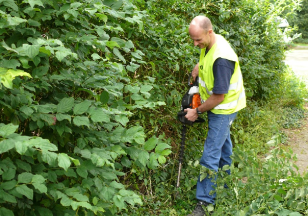 Het overhangend groen op de stoep wordt gesnoeid