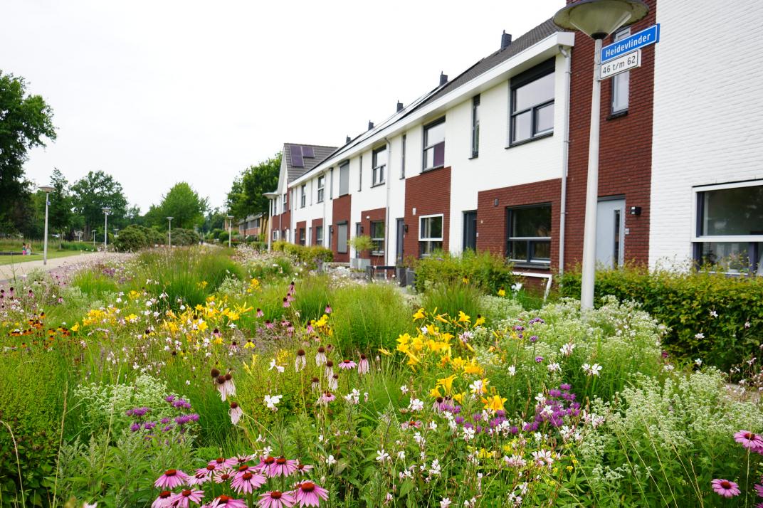Woonwijk met groen dat afwisselend is en natuurlijk