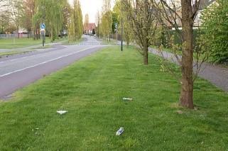 Het verwijderen van grof zwerfafval uit gras niveau A