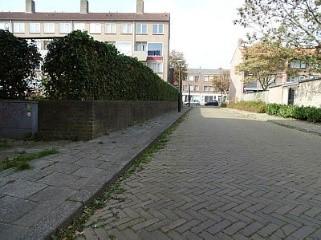 Het verwijderen van onkruid in goten en randstroken, niveau C