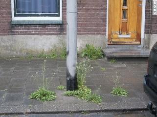Het verwijderen van onkruid rondom obstakels, niveau C