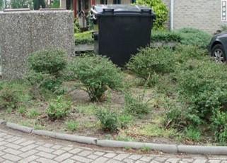 Het verwijderen van onkruid uit algemene beplanting, niveau B