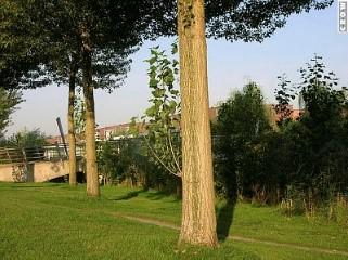 Het verwijderen van waterlot, niveau B