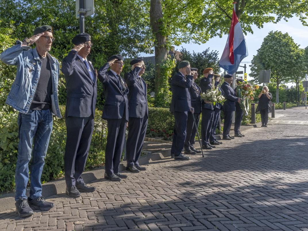 Veteranendag